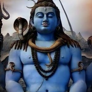 Meet your Posher, Sushila